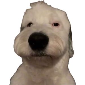 Meet your Posher, Adrian